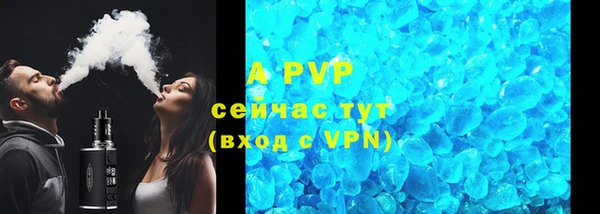прущие грибы Абинск
