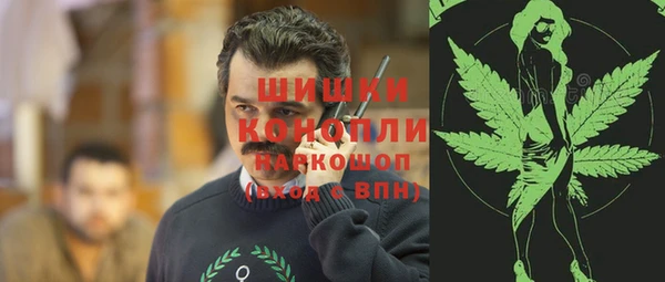 прущие грибы Абинск