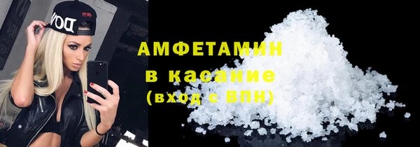 прущие грибы Абинск