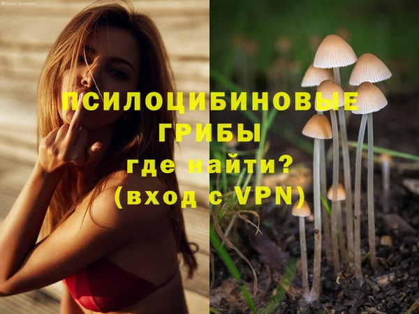 apvp Покачи
